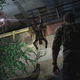 Image for article titled The Last Of Us' Infected Enemies Are Fast, Fungal and Damn Frightening to Look at